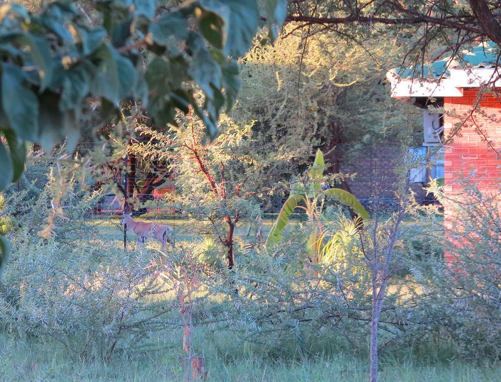Lodge Huge Dassie Bela-Bela Exterior foto